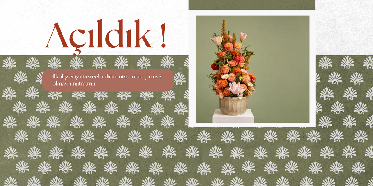 slideshow background