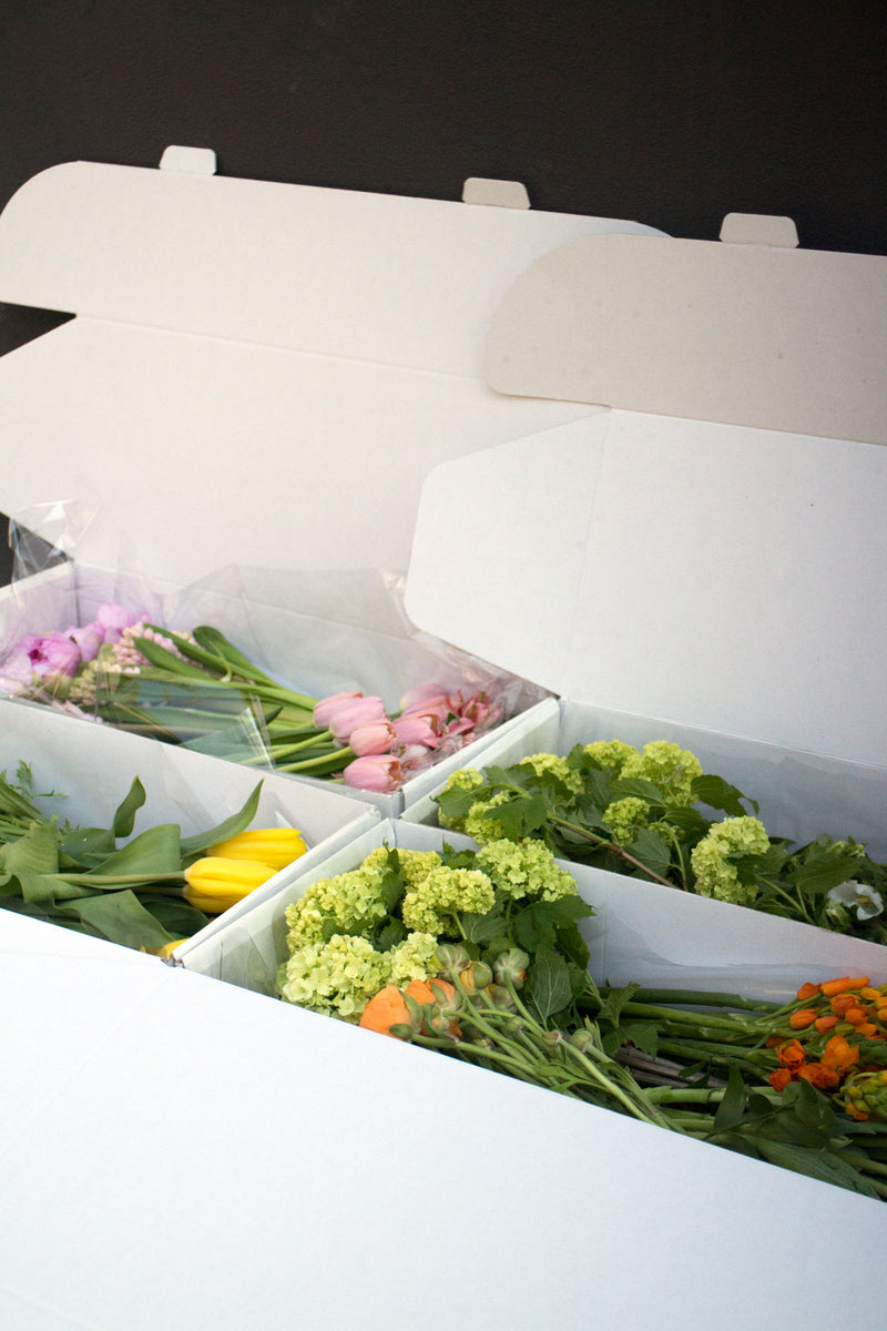 Bloom Box