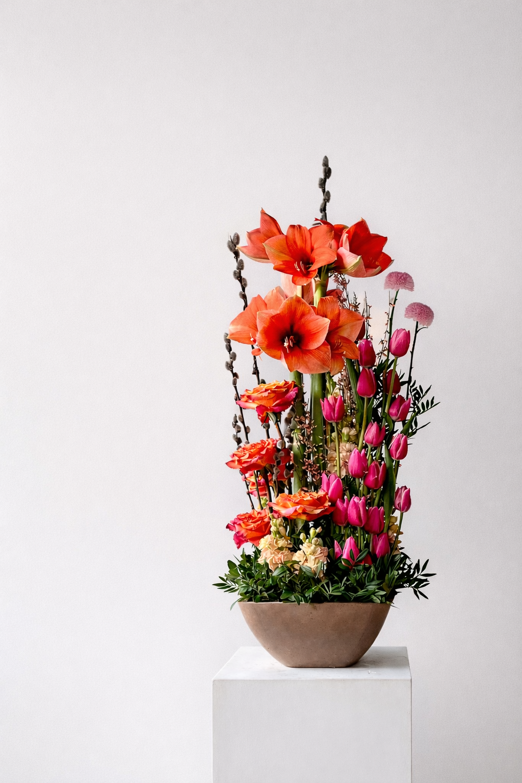 Coral Rise