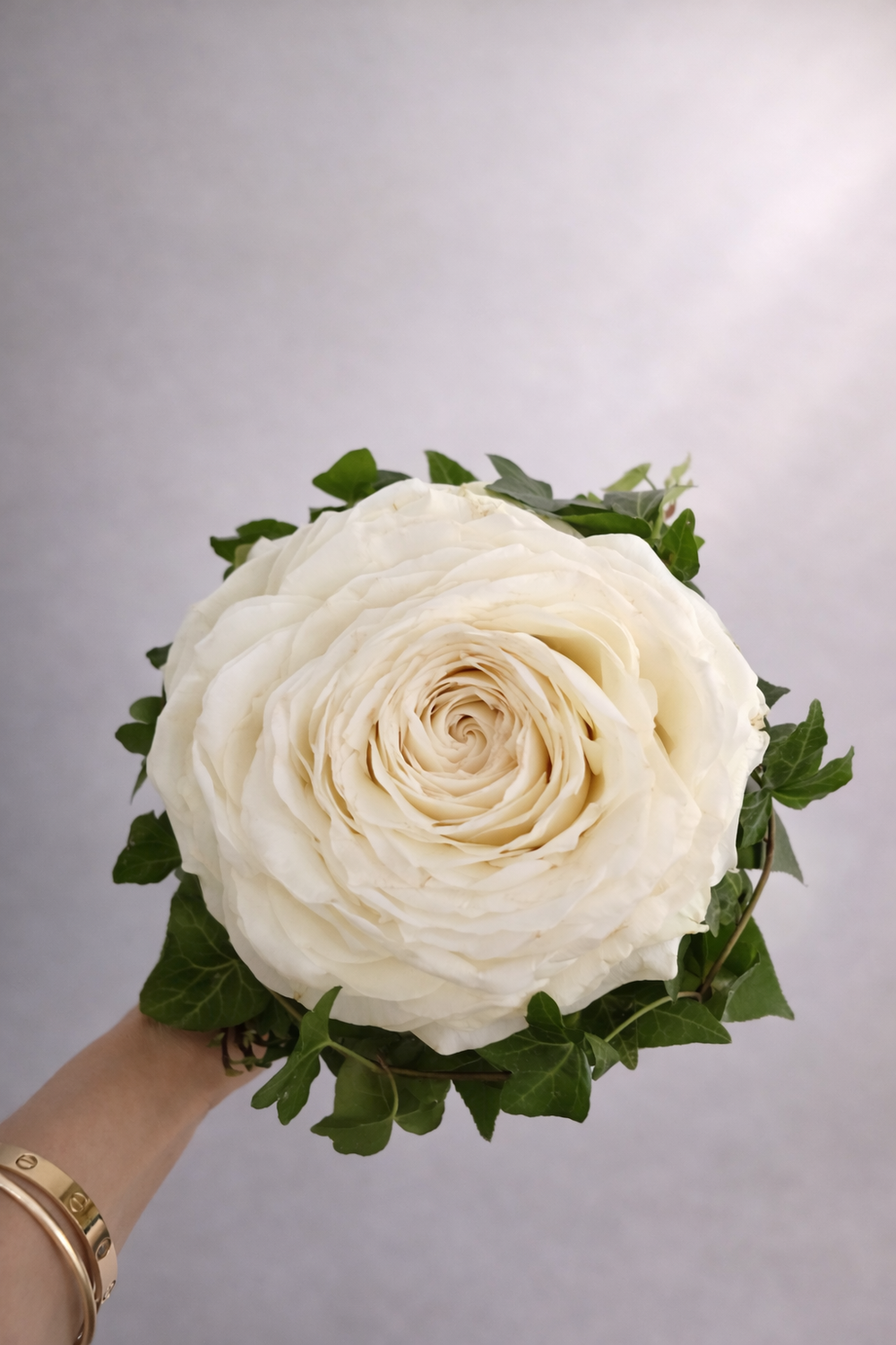 image column image