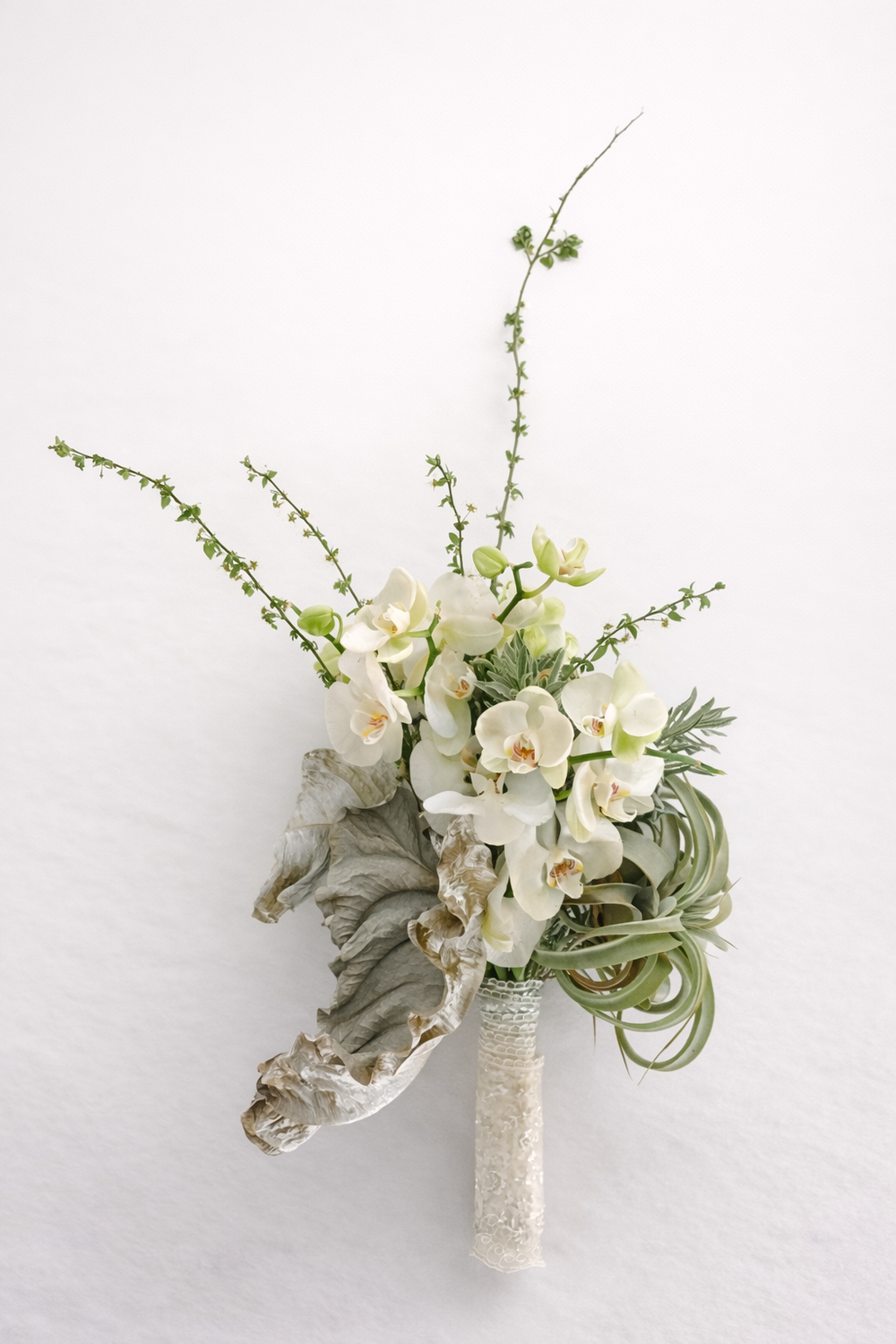 image column image