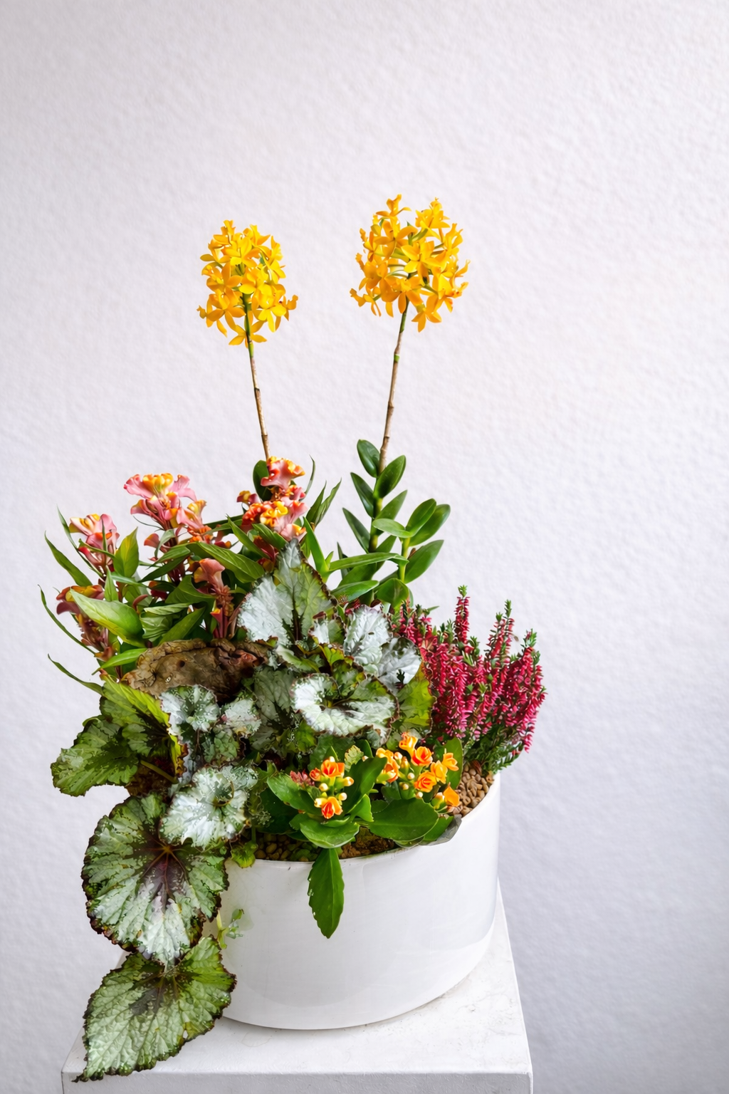 Urban Botanica