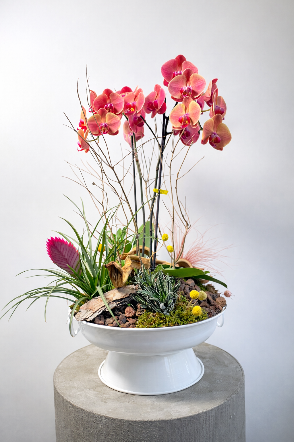 Modern Still Life