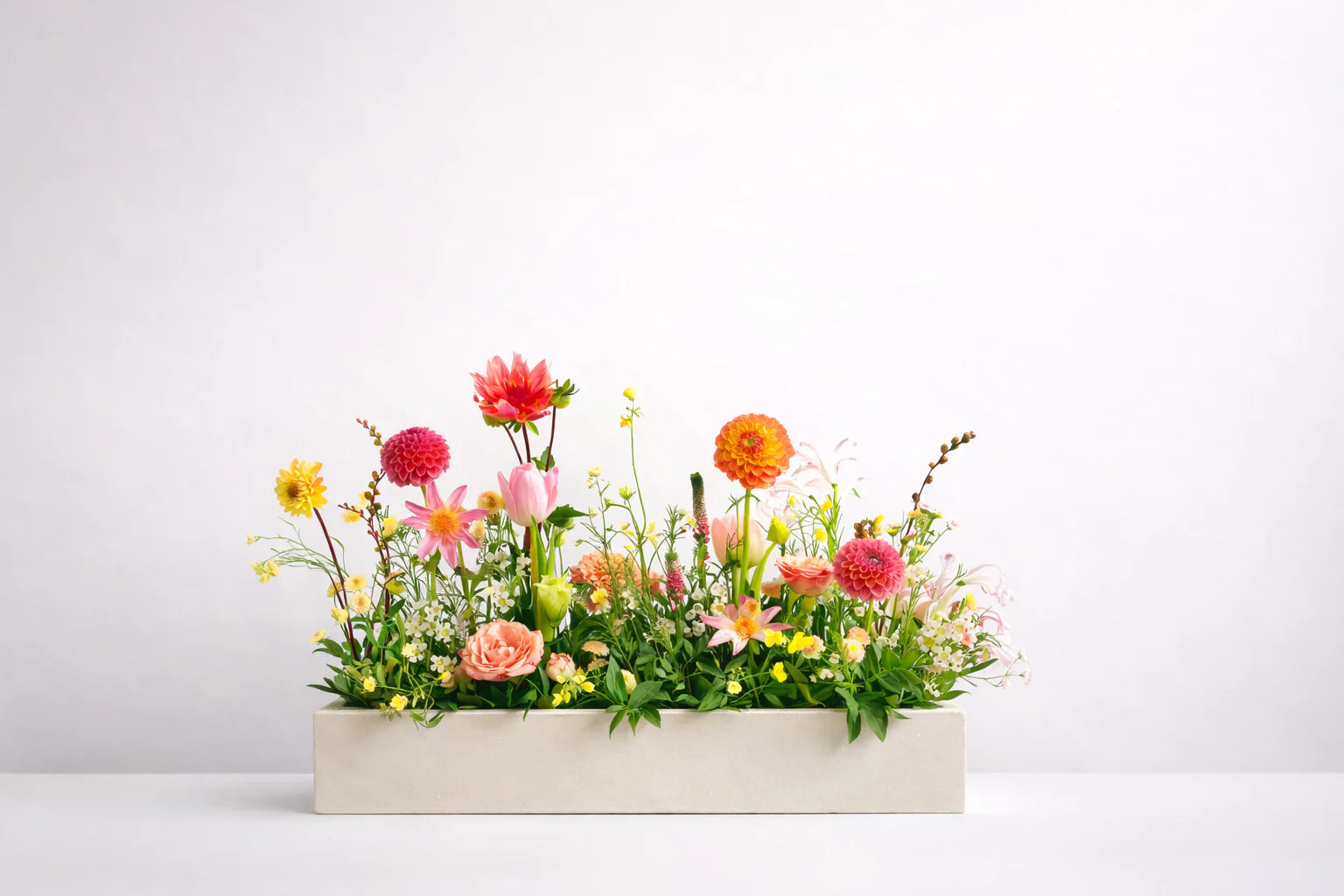 slideshow background