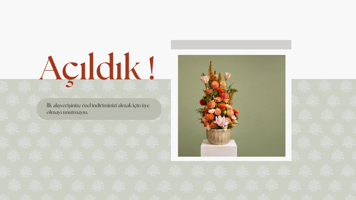 slideshow background