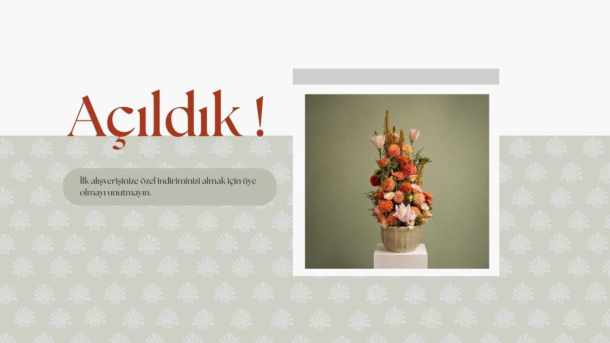 slideshow background